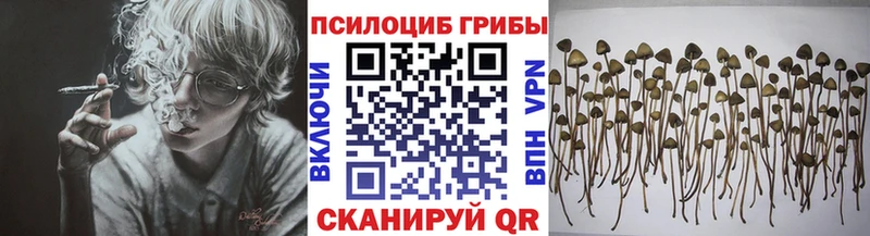 Галлюциногенные грибы прущие грибы Перевоз